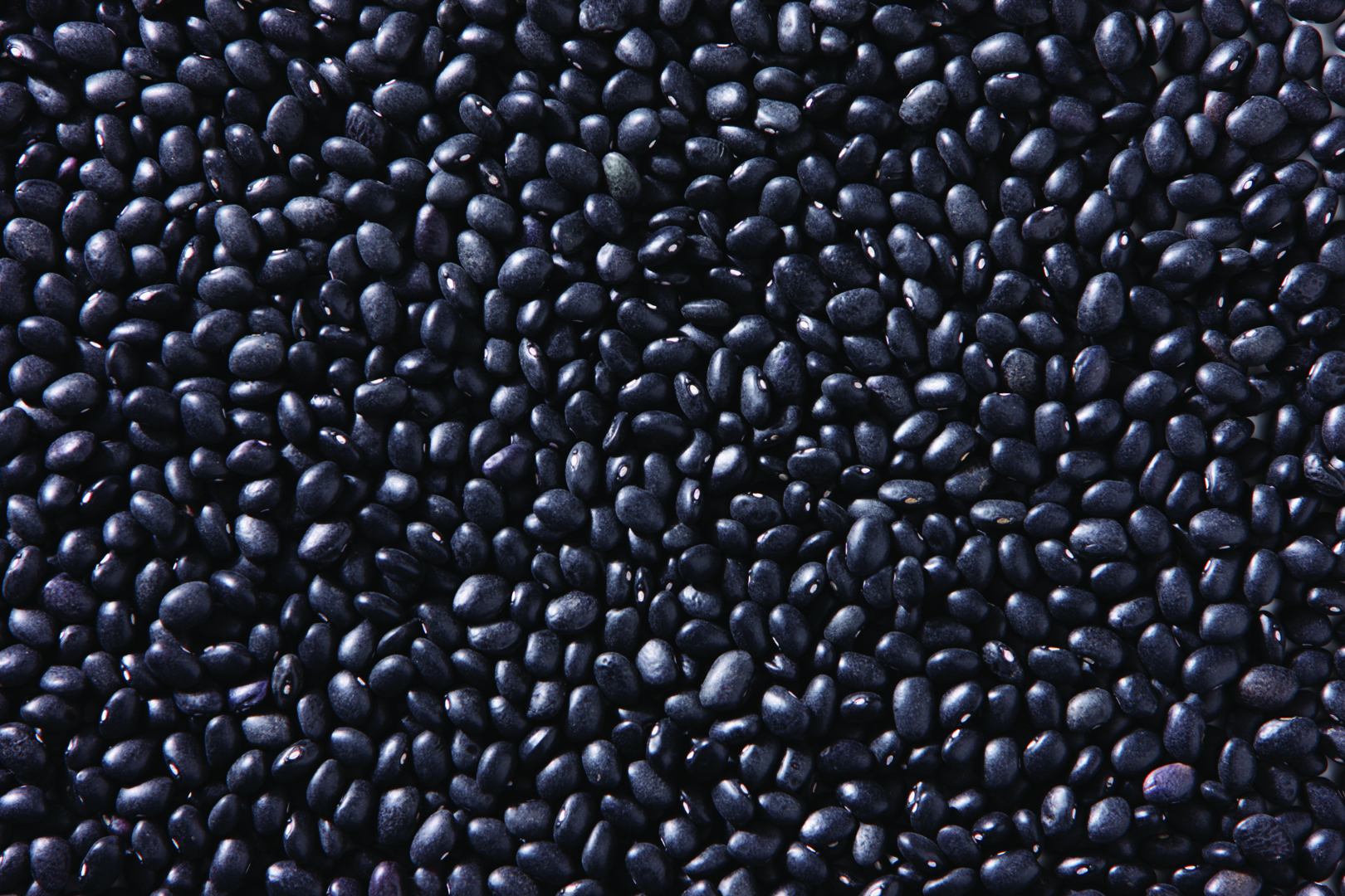 Black Beans