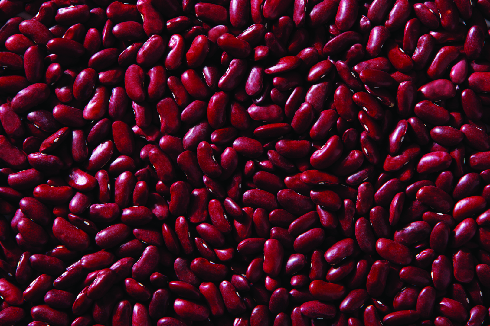 Dark kidney beans