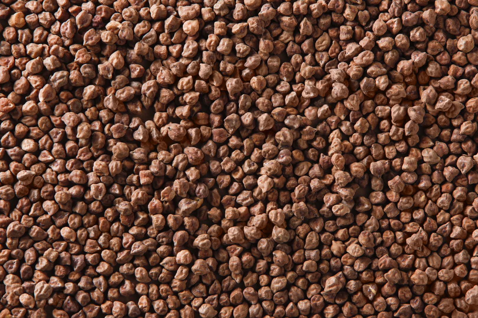 Desi Chickpeas