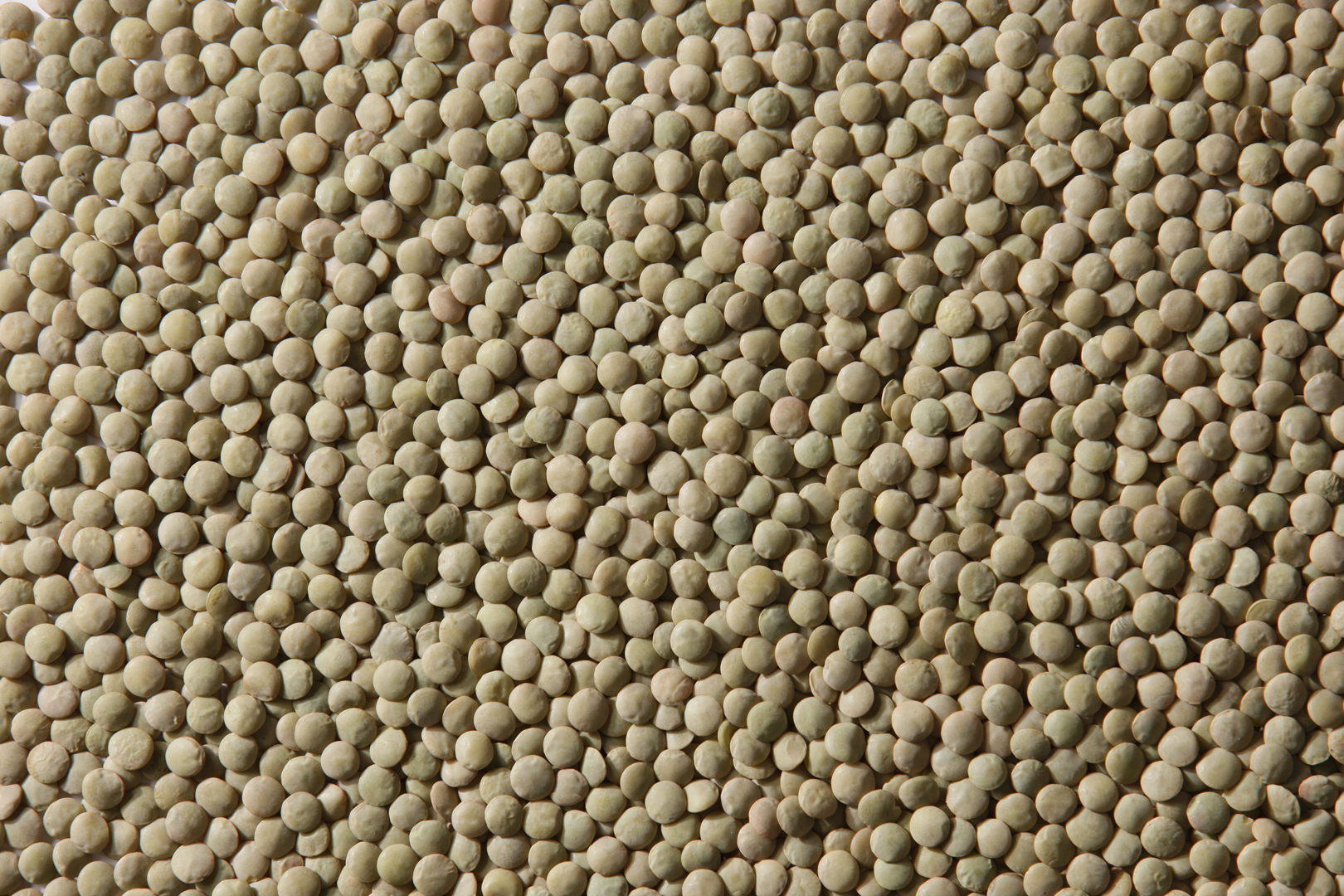 ✓ Eston and Richlea Green Lentils