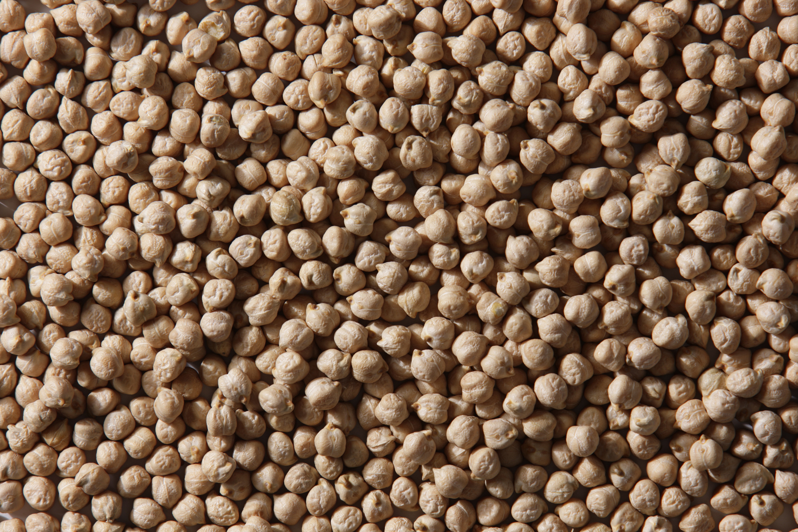 Kabuli Chickpeas