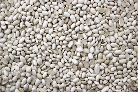 Navy Beans