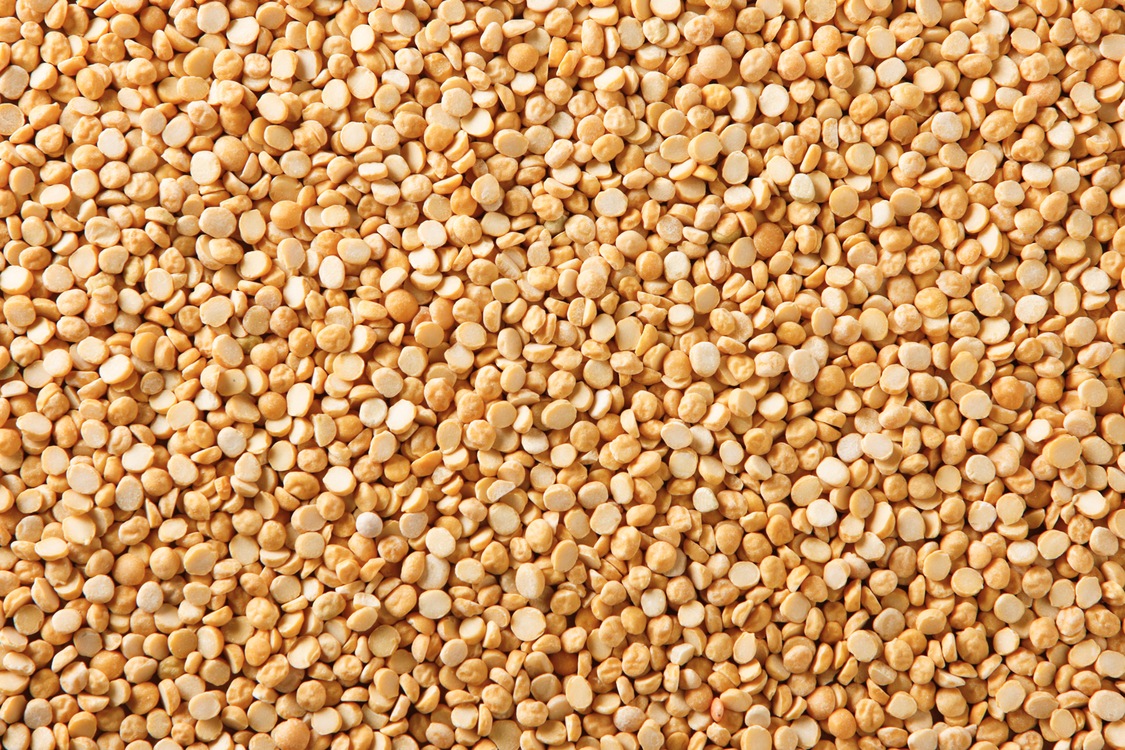 Split Desi Chickpeas-Chana Dal