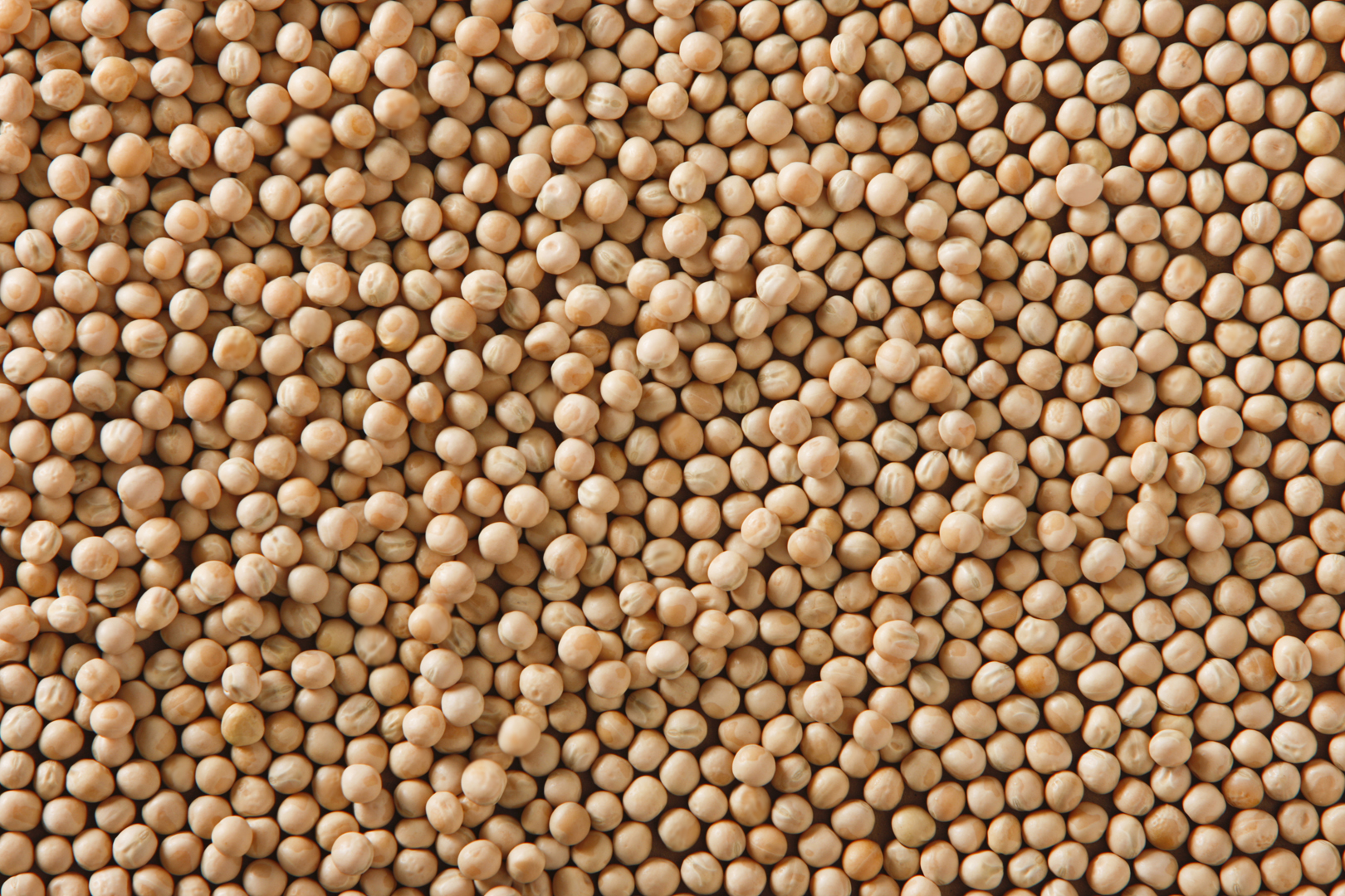 Yellow Peas