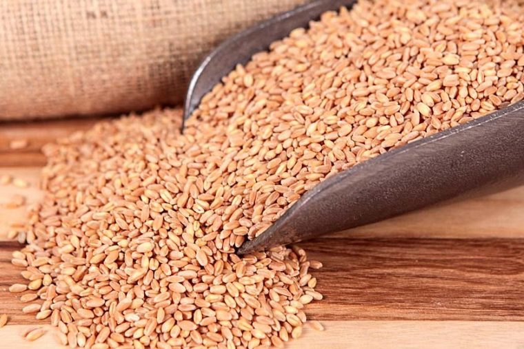hard-white-wheat-honeyville-26new-760x507
