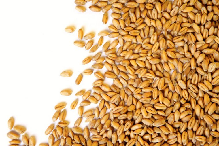 wheat-kernels-iStock-760x507
