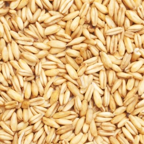 Oats